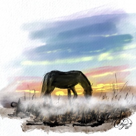 Утро туманное