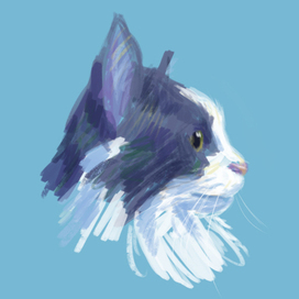 Портрет моего котика