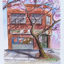 Японский магазинчик с сакурой