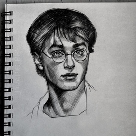Портрет "Гарри Поттер"