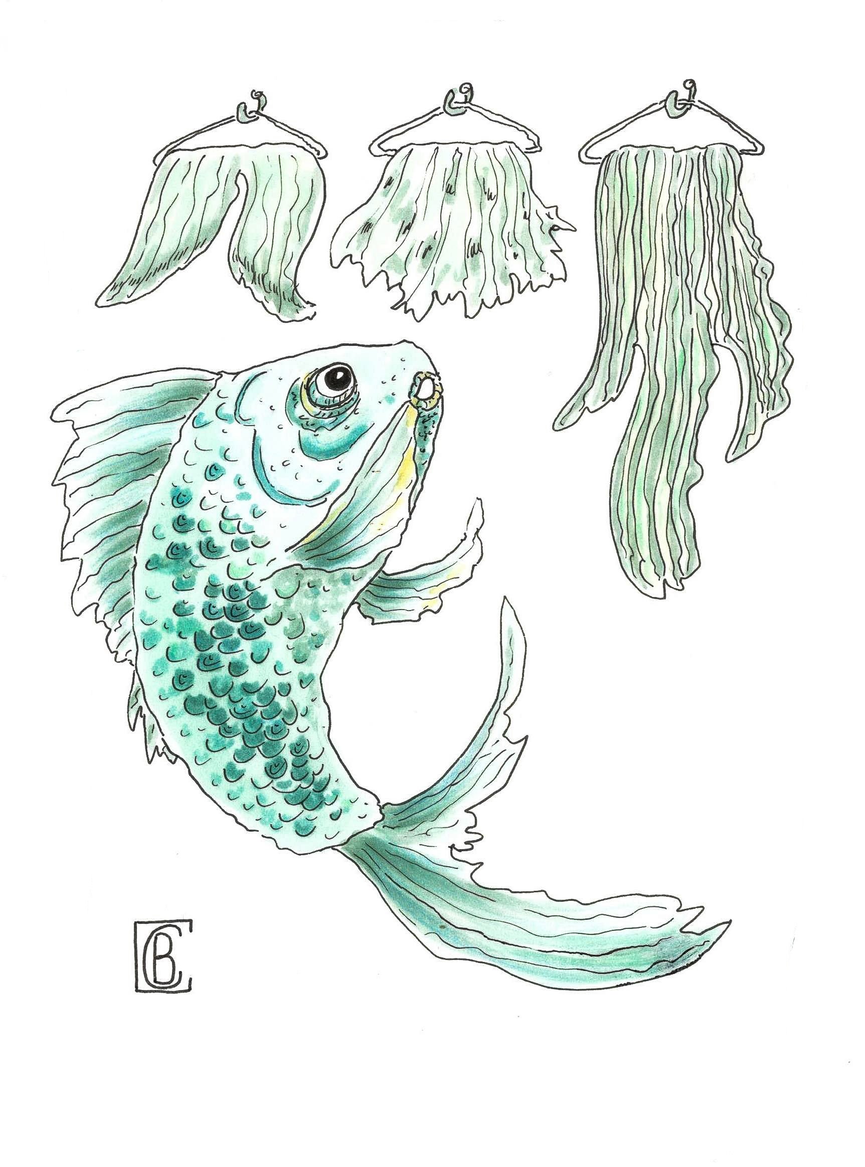 Из жизни рыб