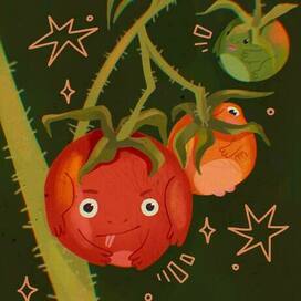 томатожабки