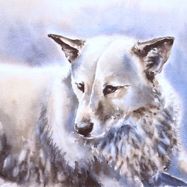 Дворняжка Маша