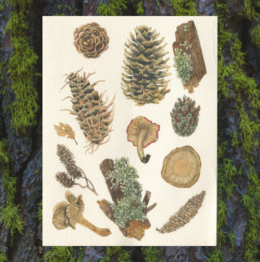 Лесные элементы