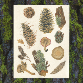 Лесные элементы