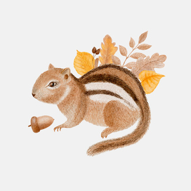 Осенний бурундук