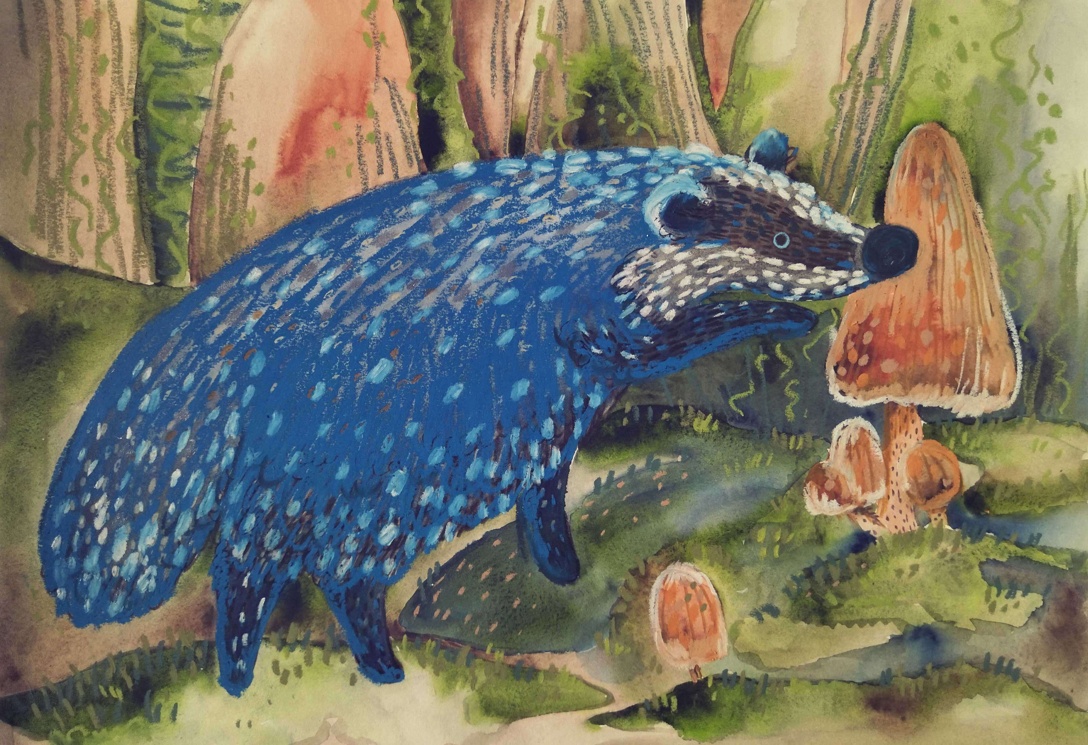 Заповедный барсук