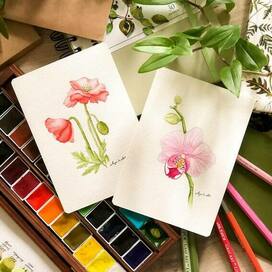 Ботанические открытки орхидея и маки