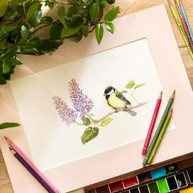 Синица и сирень