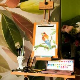 Щурка золотистая