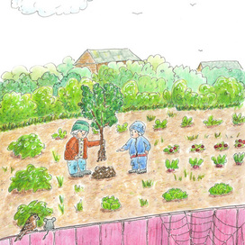 Садовые истории 