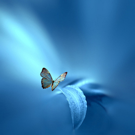 Делюсь своим открытием