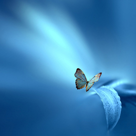 Делюсь своим открытием