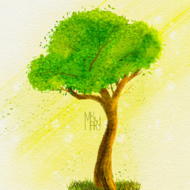 Дерево в солнечный день