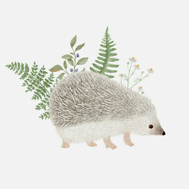 Ежик в лесу