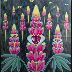 Люпиновое поле