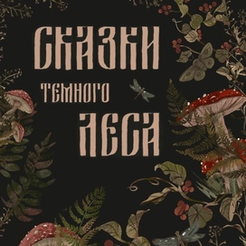 Обложка «Сказки темного леса»