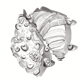 Иллюстрация для меню кафе