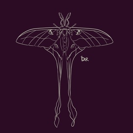 Эскиз с фоном