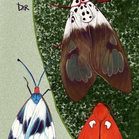 На листочке