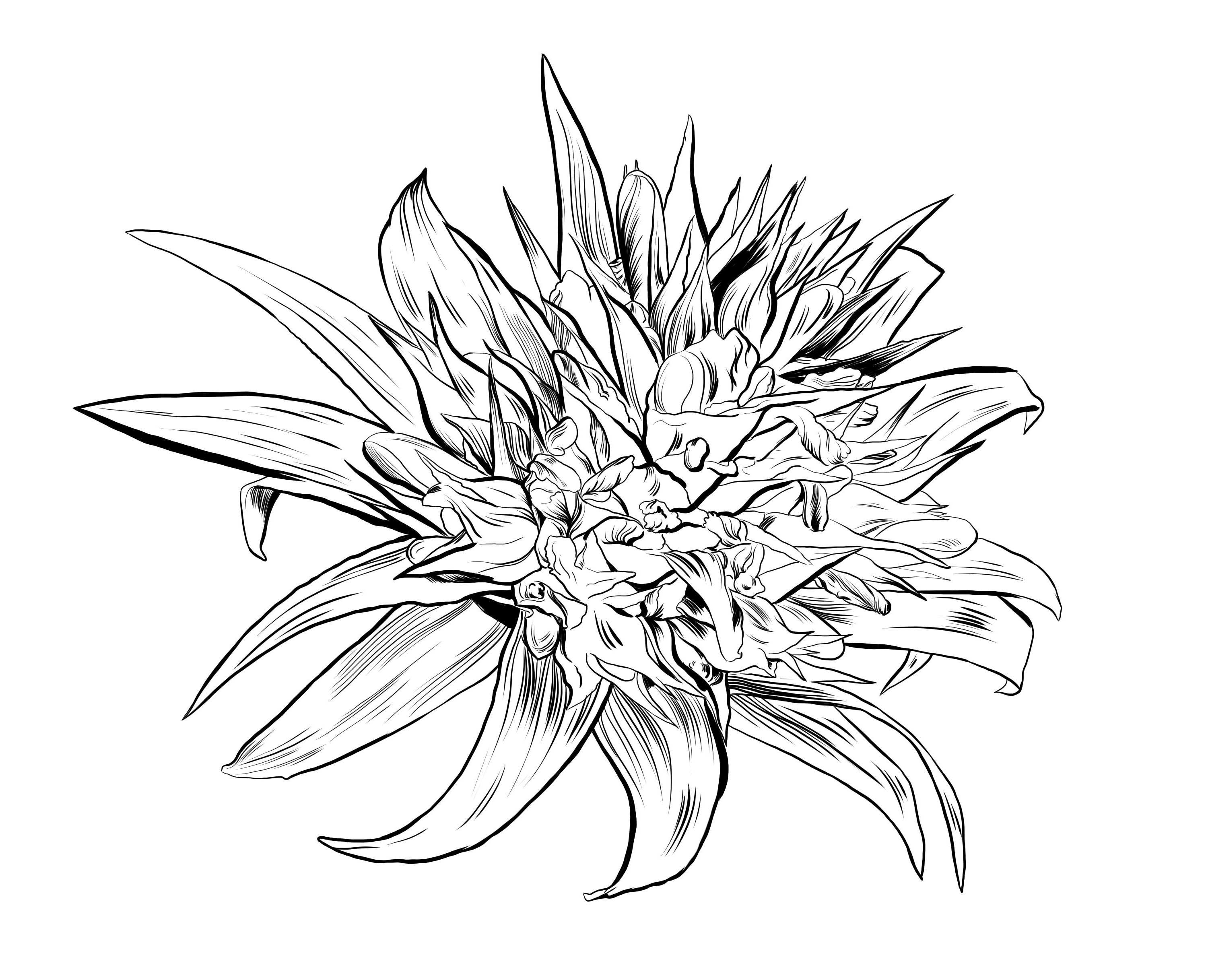 Экзотический цветок