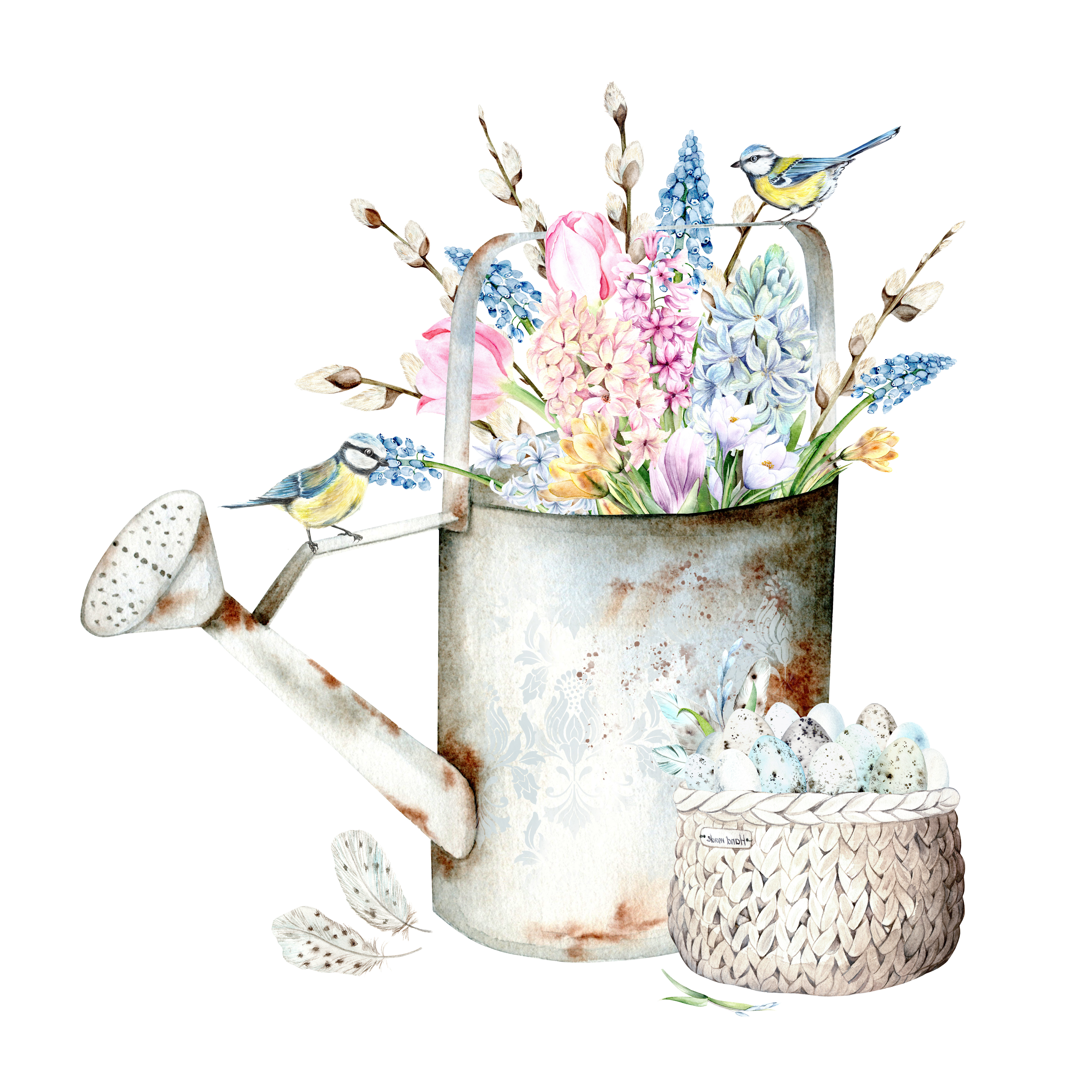 Лейка, цветы, синицы и яйца