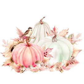 Тыквы и грибы