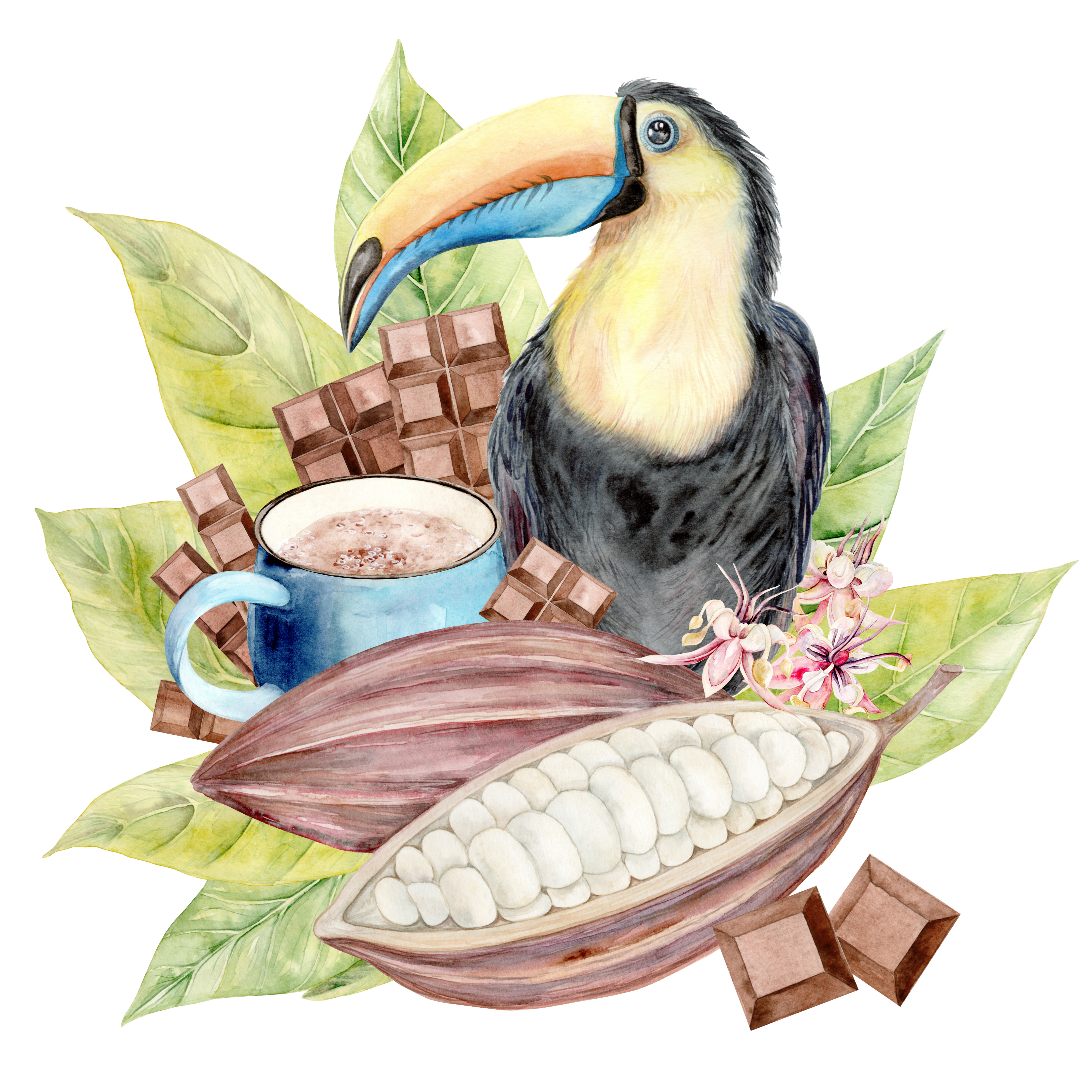 Тукан и кружка какао