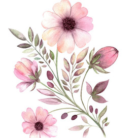 полевые сказочные цветы нарисованные акварелью вручную