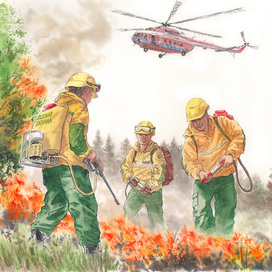 Авиалесоохрана