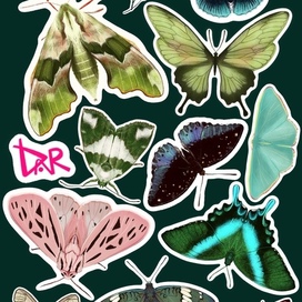 Стикерпак. Мотыльки и бабочки