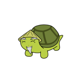 Черепаший мудрец