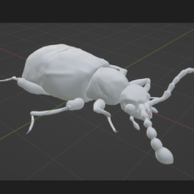 3д модель жука