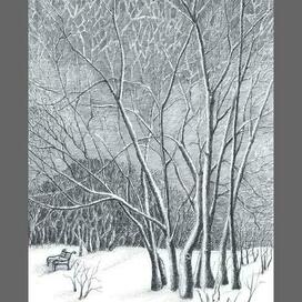 Зимний парк