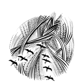 Иллюстрация к стихам