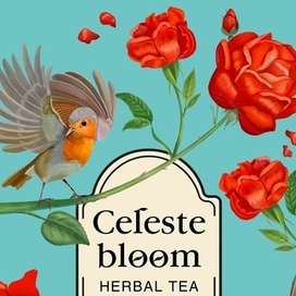 Иллюстрация на упаковку травяного чая с лепестками роз