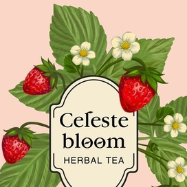 Иллюстрация на упаковку травяного чая с кусочками клубники