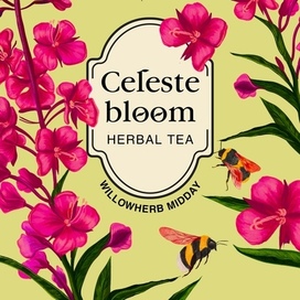 Иллюстрация на упаковку травяного чая - Иван-чай