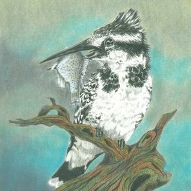 Малый пегий зимородок