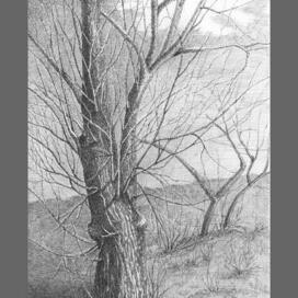 Одиночество