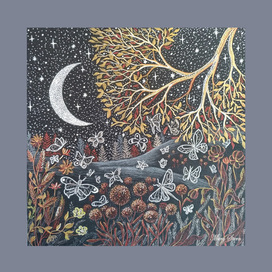 Ночные мотыльки