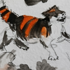 Теплые коты