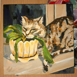 Любимый кактус