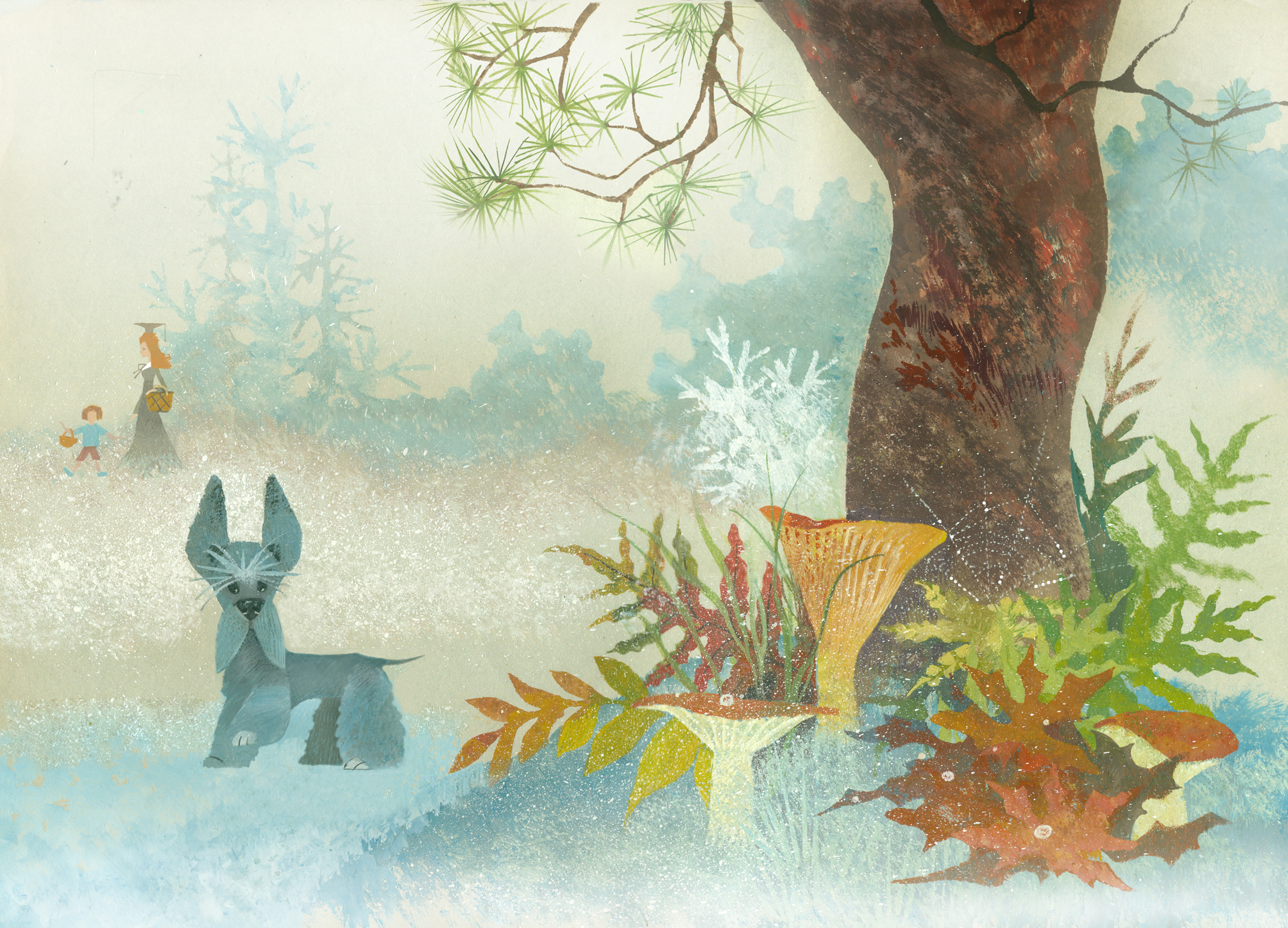 Иллюстрация