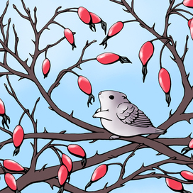 Не воробей, не хомячок...