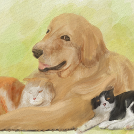 Братья наши меньшие