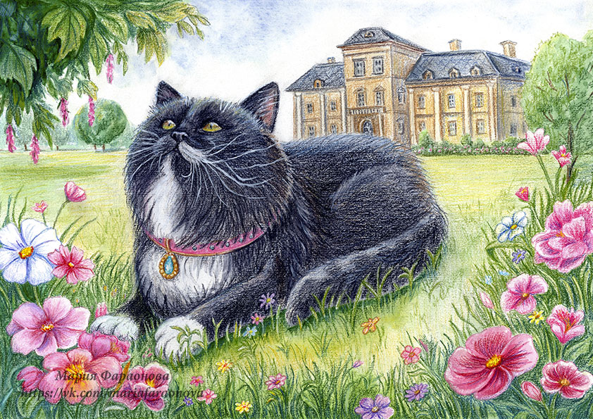 Кот и замок