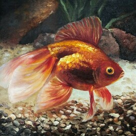 Золотая рыбка
