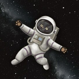 Кошка Тьма в космосе