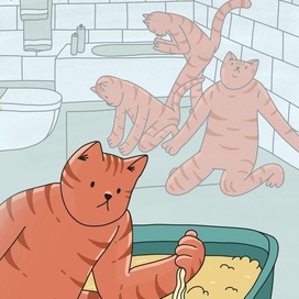 Мемные коты